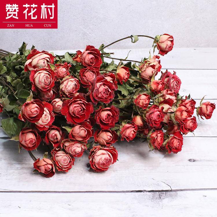 赞花村 多头玫瑰干花花束 云南真花家居装饰DIY插花花材 工厂