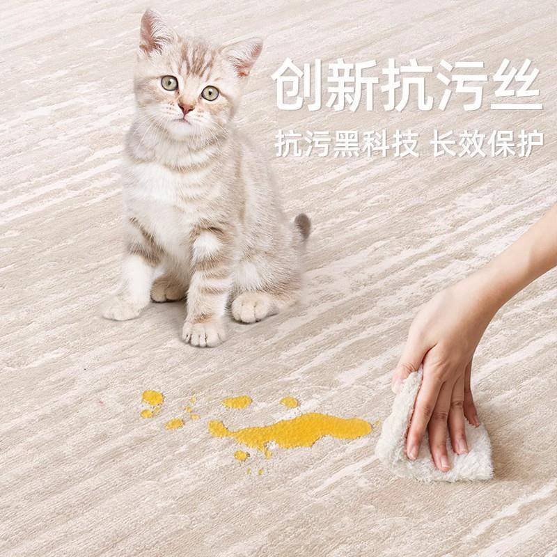 家用耐脏大面积水晶绒地毯ins卧室床边地毯家用客厅茶几毛绒地毯