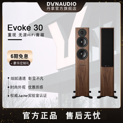 Dynaudio/丹拿无源落地式音箱