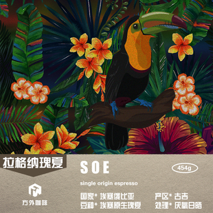 454g SOE 袋 浓缩咖啡熟豆 意式 格拉纳瑰夏 埃塞厌氧日晒浅中烘焙