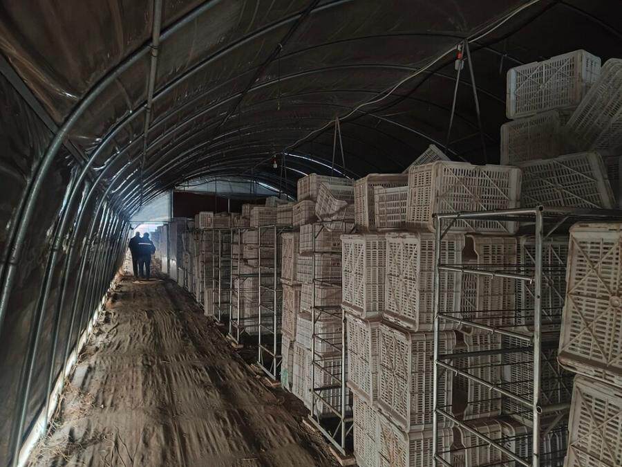 4月23日大同市某公司名下的机器设备网络拍卖公告
