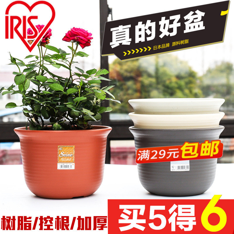 爱丽思多肉花盆陶瓷塑料兰花蝴蝶兰水仙家用树脂创意大花盆爱丽丝