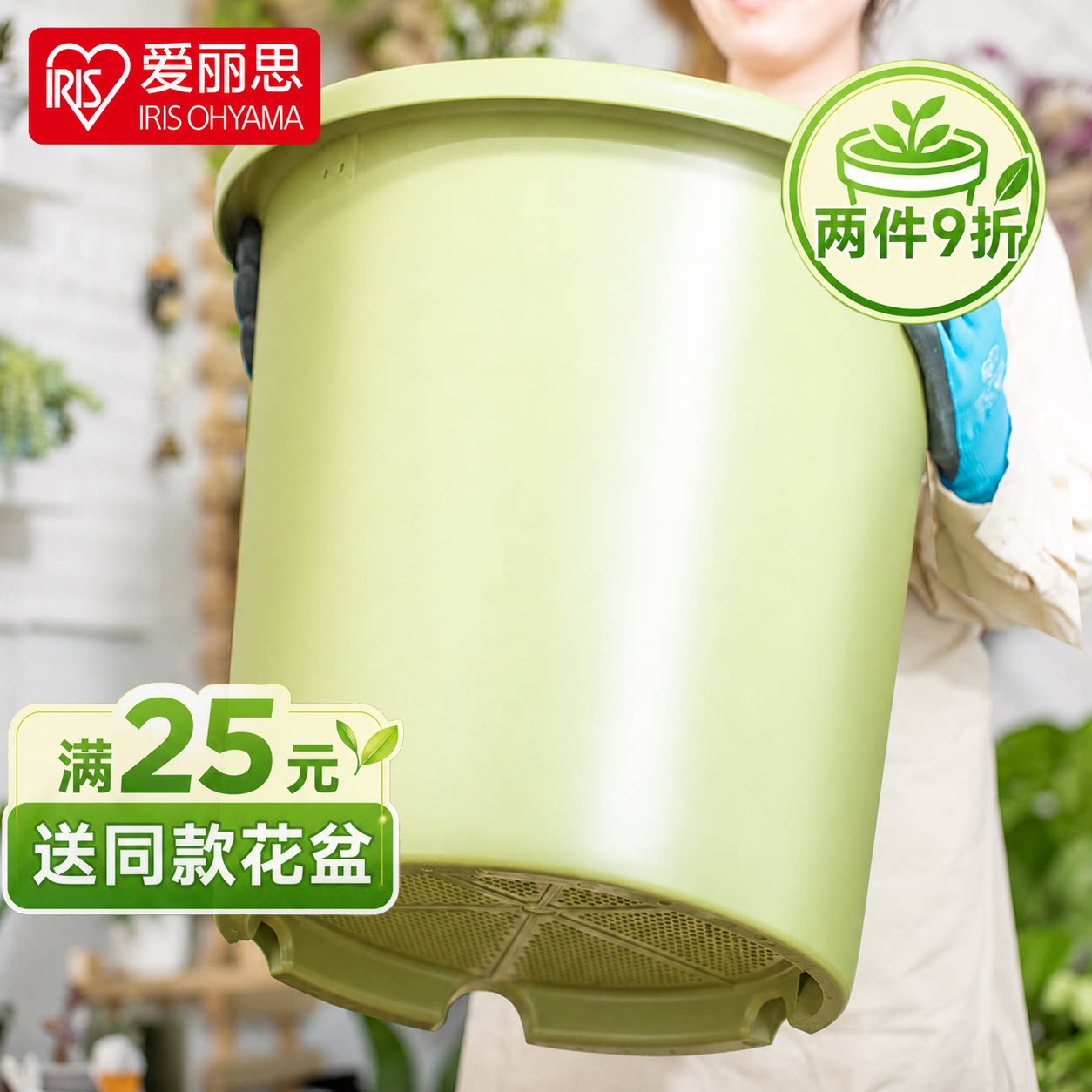 【养花种花】爱丽思Deepot花盆