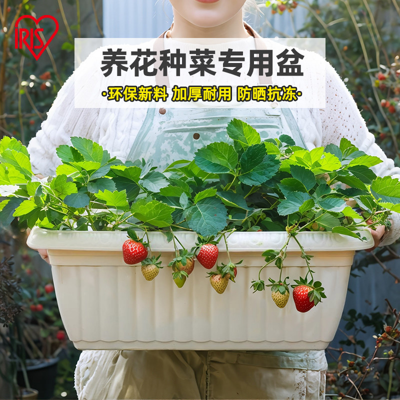 爱丽思长方形塑料花盆加厚耐用大号种菜专用盆环保草莓种植专用盆