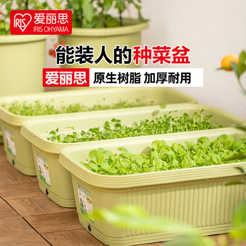 48cm树脂抗氧化长方形种菜盆