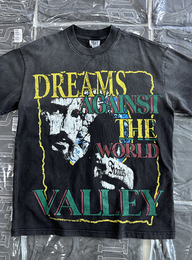 夏季高品质Vale Forever Valley Dreams Tee美式宽松做旧短袖T恤