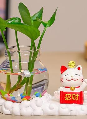 可爱招财猫祥云底水培桌面装饰品