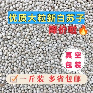 东北新大粒白苏子鸟食真空包装鹦鹉芙蓉鸟玉鸟金丝雀鸟食喂鸟苏子