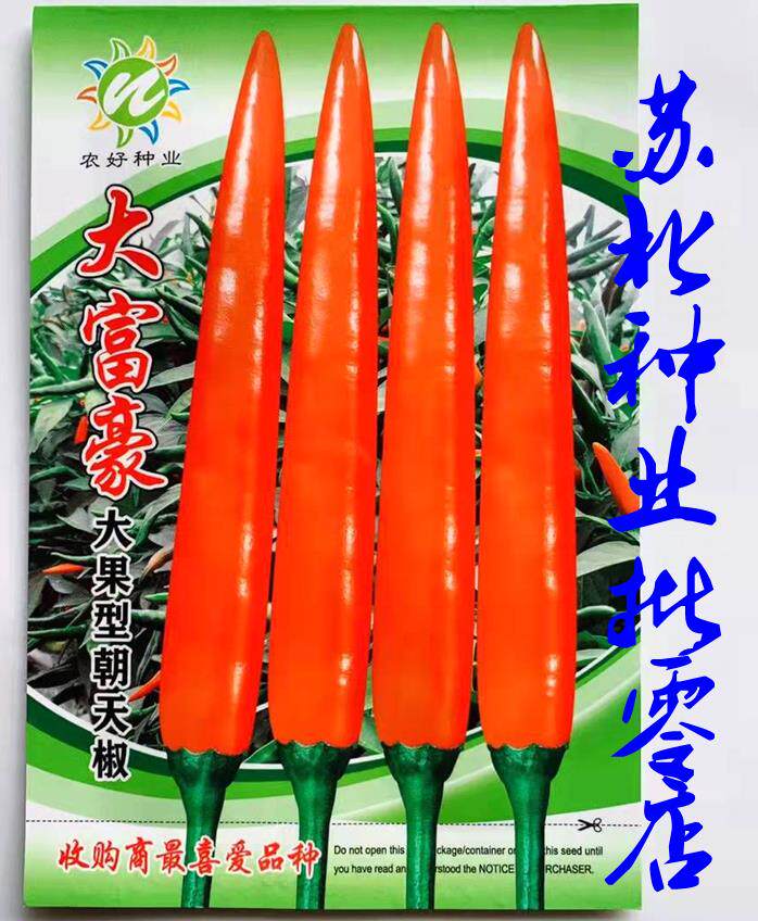 大富豪大果型朝天椒种子泰国进口单生超高产收购价高大田春夏秋播