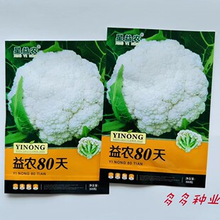 80天花菜种子秋播花椰菜种籽小米粒有机菜花种籽松花菜种子