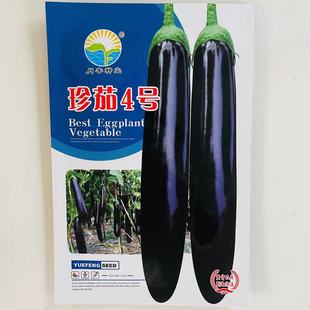 月丰种业珍茄4号茄子种子春秋紫黑长茄种籽早熟绿把长茄种子蔬菜