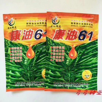 康油61油菜种子秋播矮杆抗倒甘蓝型雄性不育两系杂交大田油菜种籽