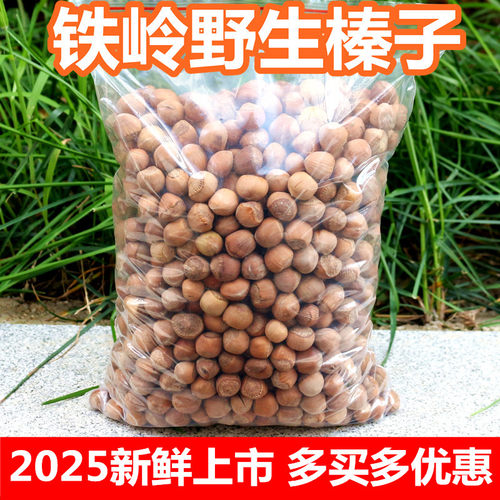 东北铁岭新鲜野生小榛子2025特产干果生榛子散装坚果生的榛子炒熟