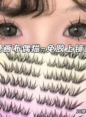 【布偶猫】假睫毛漫画新款自然分段式轻狐系眼睫毛2026爆款浓密野