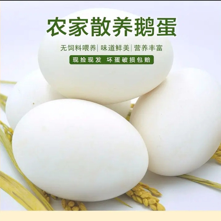 新鲜鹅蛋正宗农家散养土鹅蛋特大鹅蛋