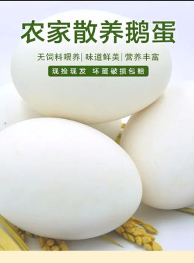 新鲜鹅蛋正宗农家散养土鹅蛋特大超大