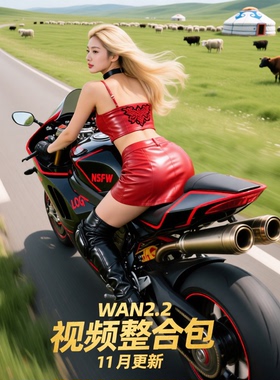 全新升级comfyui-wan2.2视频整合包工作流（含NSFW）11月更新