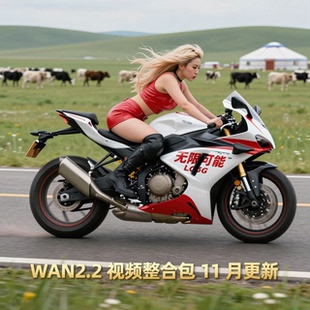 全新升级comfyui-wan2.2视频整合包comfyui工作流（N版）11月更新