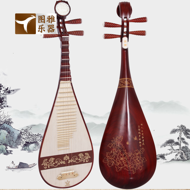 梵巢花梨木琵琶乐器专业演奏成人入门儿童初学考级无拼接整块背板