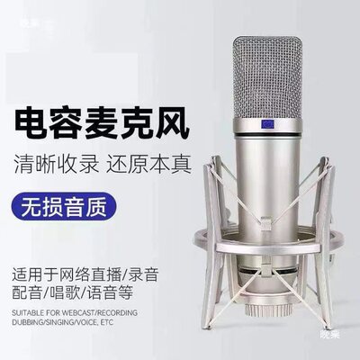 Neumann/诺音曼 U87 专业高端麦克风 大振膜电容话筒 录音棚标配