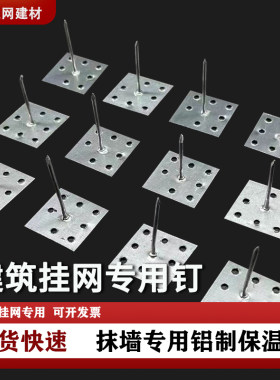外墙保温钉钢丝网固定钉