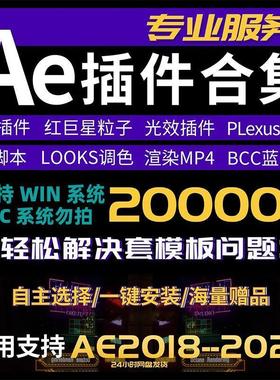 Ae插件合集全套2024汉化一键安装红巨星Particular粒子E3D套模板