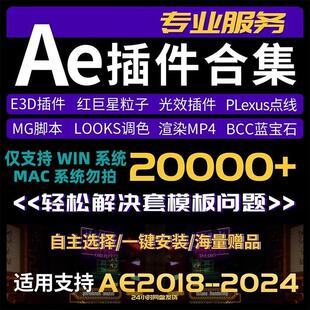 Ae插件合集全套2024汉化一键安装红巨星Particular粒子E3D套模板