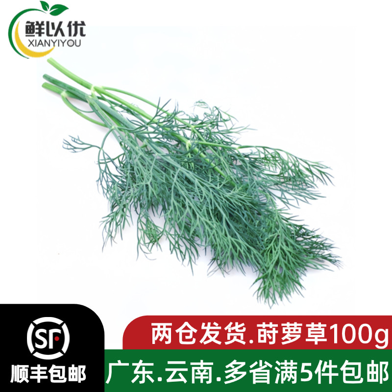 刁草新鲜莳萝草食用泰式西餐香料菜土茴香调味调料西餐酒店摆盘