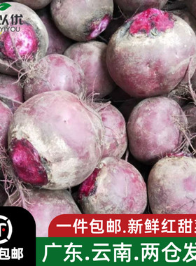 云南甜根菜500g 甜菜根紫菜头 新鲜蔬菜 西餐榨汁摆盘装饰食材