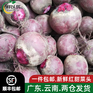 西餐榨汁摆盘装 新鲜蔬菜 饰食材 甜菜根紫菜头 云南甜根菜500g
