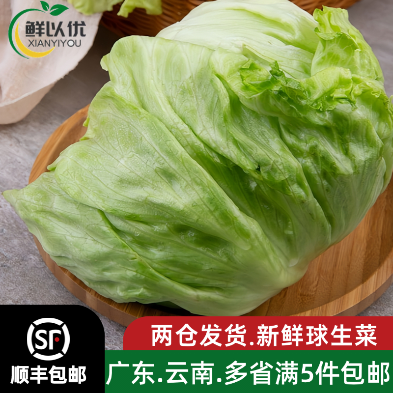 西生菜新鲜蔬菜圆生菜球包菜汉堡包蔬菜沙拉菜球生菜新鲜包邮500g