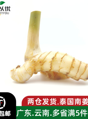 泰国南姜新鲜高良姜泰式冬阴功汤原材料调料火锅底料蔬菜生姜香料