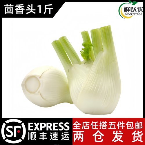 新鲜茴香头约1斤 茴香根茴香球茎 西餐料理香料蔬菜食材 5件包邮