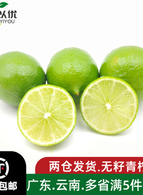 海南青柠檬新鲜 水果无苦味皮薄多汁泡水饮500g调味新鲜青皮柠檬