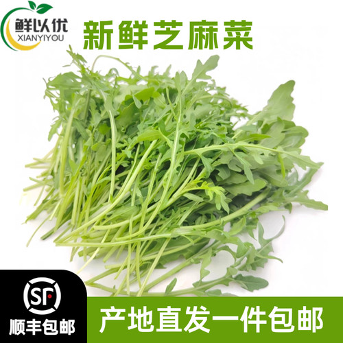 新鲜即食芝麻叶芝麻菜健身低脂火箭菜西餐蔬菜沙拉生吃菜食材包邮