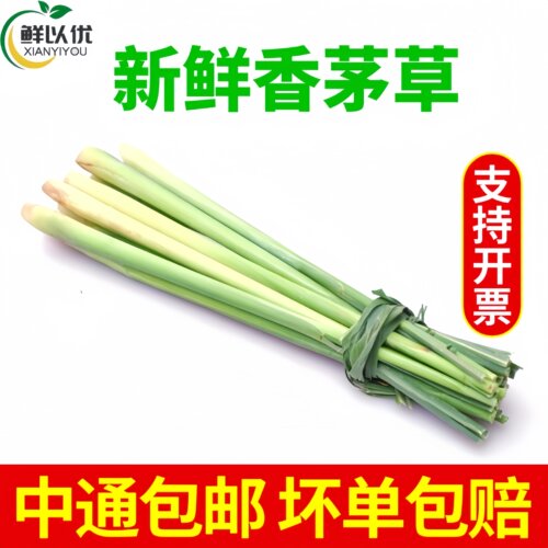 香茅草新鲜柠檬草叶食用香茅香料菜奶茶店用品调料泰式冬阴功原料
