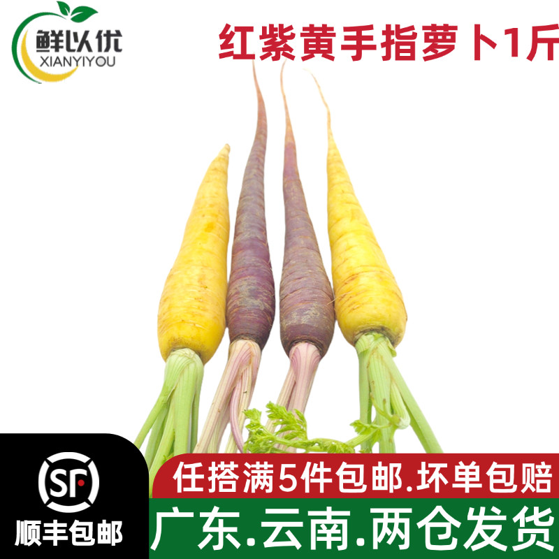 新鲜彩色小萝卜 即食水果蔬菜摆盘七彩三色迷你手指胡萝卜1斤,水产肉类/新鲜蔬果/熟食,萝卜/胡萝卜,淘宝优惠券,粉丝福利购,淘宝优惠卷