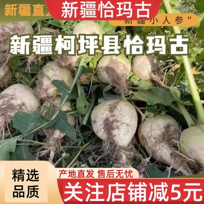 新疆柯坪恰玛古大地的礼物5斤