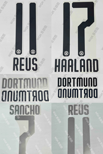 德甲多特蒙德1920赛季主场客场二客球员印字 正版队名多选 罗伊斯