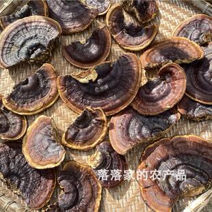 海南野生灵芝大青山灵芝无柄赤芝干货500g 已切片
