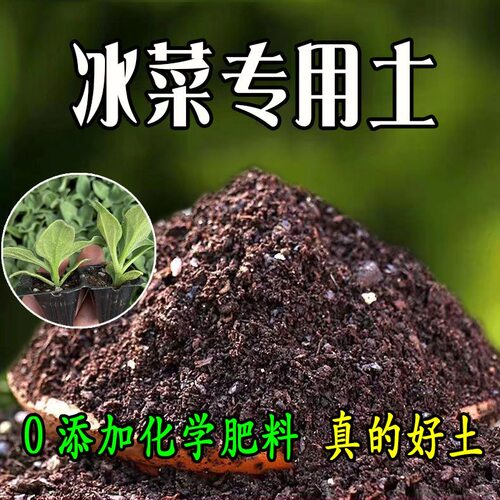 冰菜盆栽有机泥炭土透气疏松
