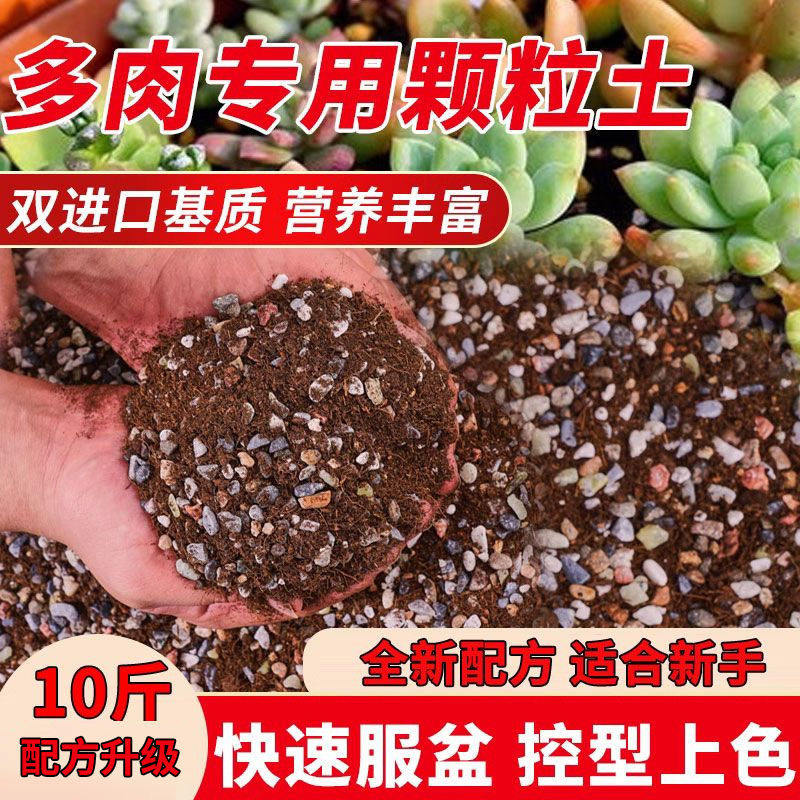 多肉植物营养土进口泥炭土多肉土叶插换盆土纯颗粒铺面石种植土壤
