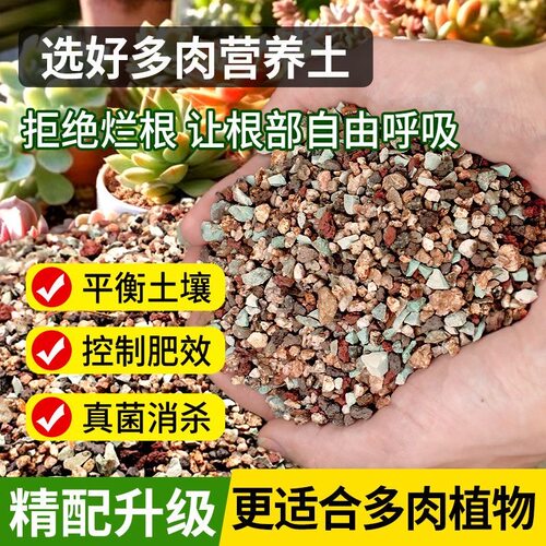 多肉颗粒土专用土壤进口小颗粒多肉铺面石多肉小苗成株老桩通用型