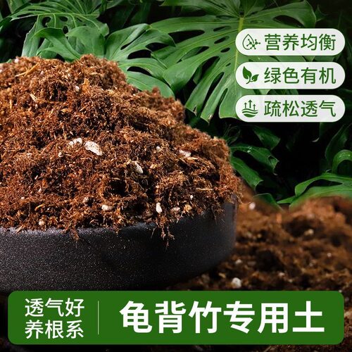 石淙龟背竹有机营养土轻质泥炭