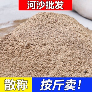 天然过筛河沙细沙粗沙多肉种植沙土乌龟冬眠产卵鱼缸造景底沙黄砂