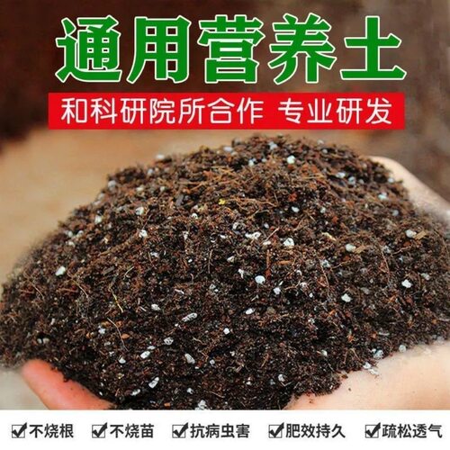 营养土养花通用专用花土种菜通用型种花家用花卉植物种植土壤泥土