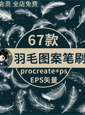羽毛procreate笔刷ps笔刷唯美梦幻羽毛飘落散落后期特效ai素材