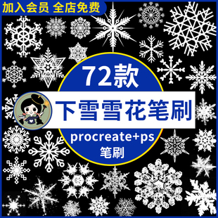 冬季冬天下雪雪花飘落飘雪梦幻雪景插画合成素材procreate/ps笔刷
