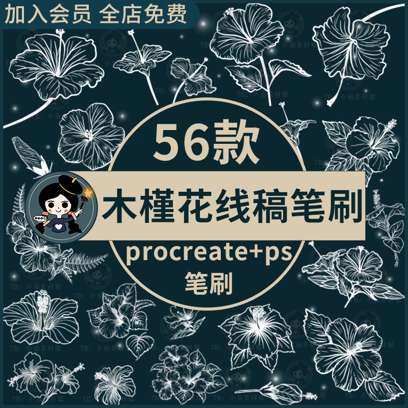 procreate笔刷ps笔刷木槿花植物线稿鲜花临摹花朵花卉插画手绘画