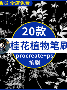 手绘古风桂花植物花卉花朵树枝插画辅助线稿procreate笔刷ps笔刷